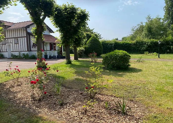 Studio Epicea Avec Jardin Dans Charmante Propriete