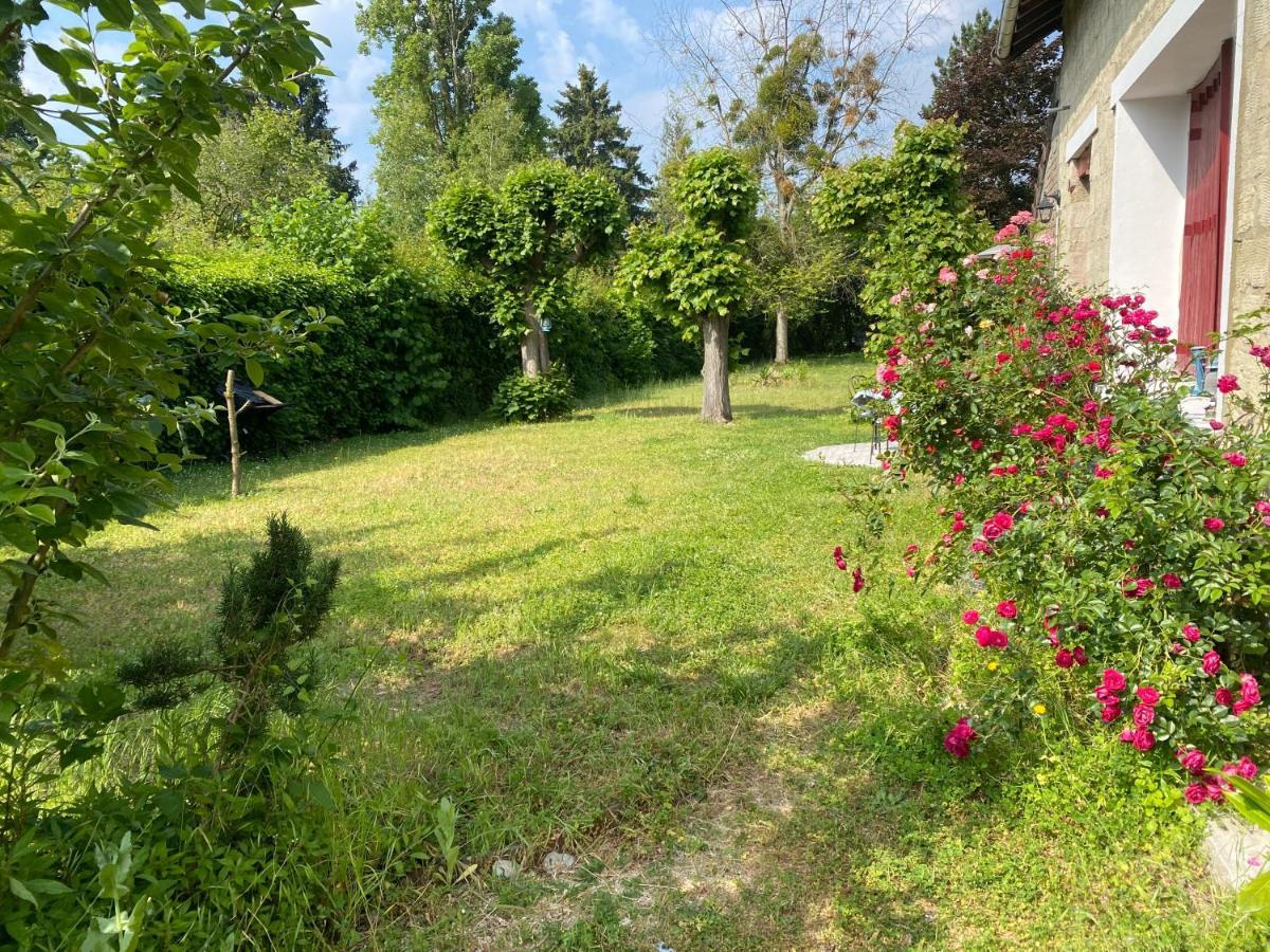 Epicea Avec Jardin Dans Charmante Propriete * Méry-sur-Oise